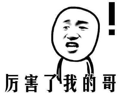 2016網絡流行語第二名:厲害了我的哥 (火爆指數:★★★★★)