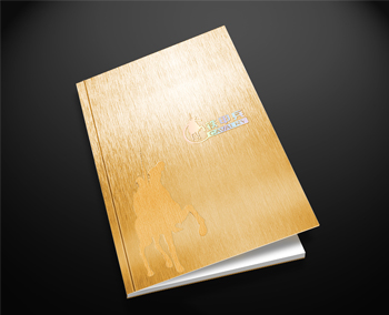 深圳鐵甲兵行車安全智能