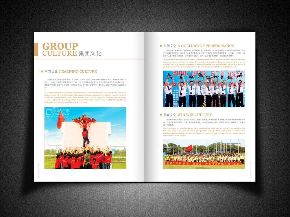 數碼電子企業畫冊設計