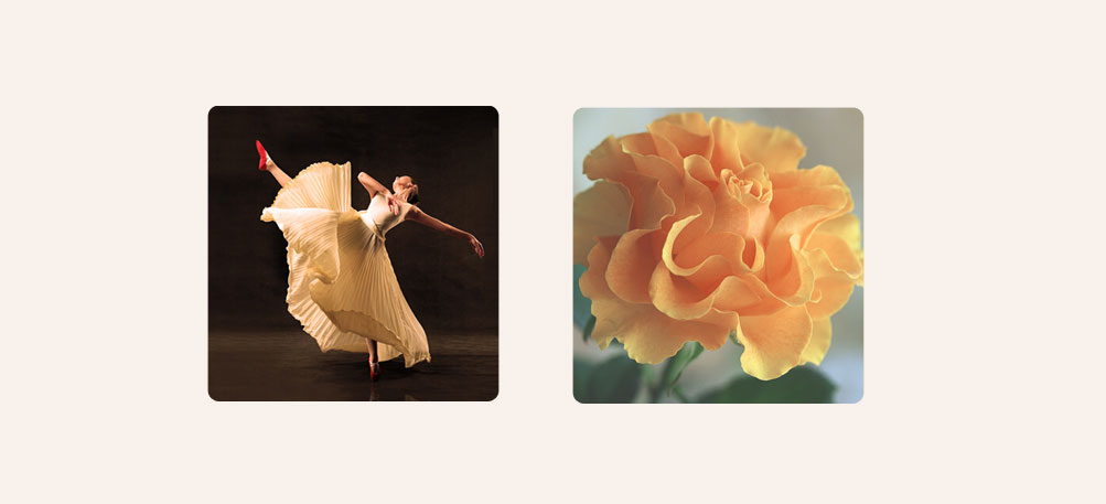 舞緣舞臺美術服飾公司標志設計