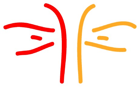 多種品牌營銷的作用