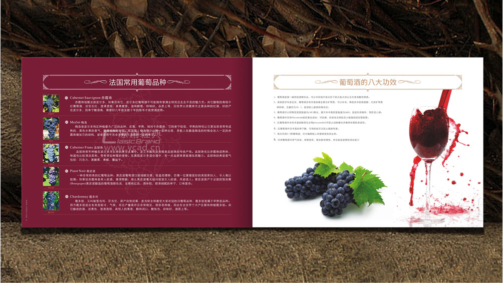 桂品軒畫冊設計