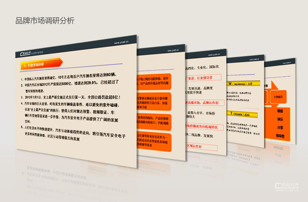 品牌市場市場調研分析