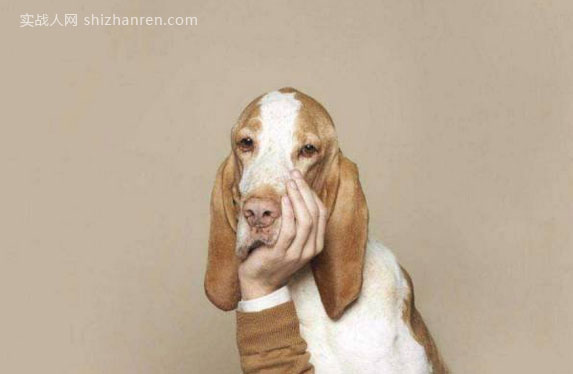 看了那么多干貨，還是做不好企業營銷？ 經驗心得