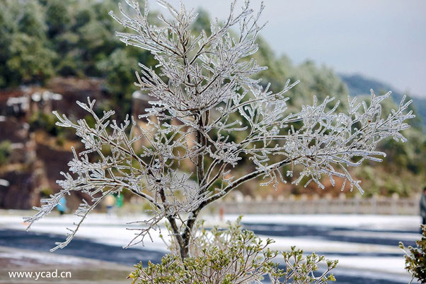 公司企業(yè)如何在主流問答平臺做產(chǎn)品問答營銷推廣