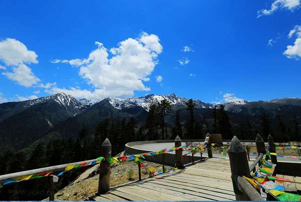 電白水東網(wǎng)站優(yōu)化公司:網(wǎng)站要做SEO,也要做UEO(用戶(hù)體驗(yàn)優(yōu)化)